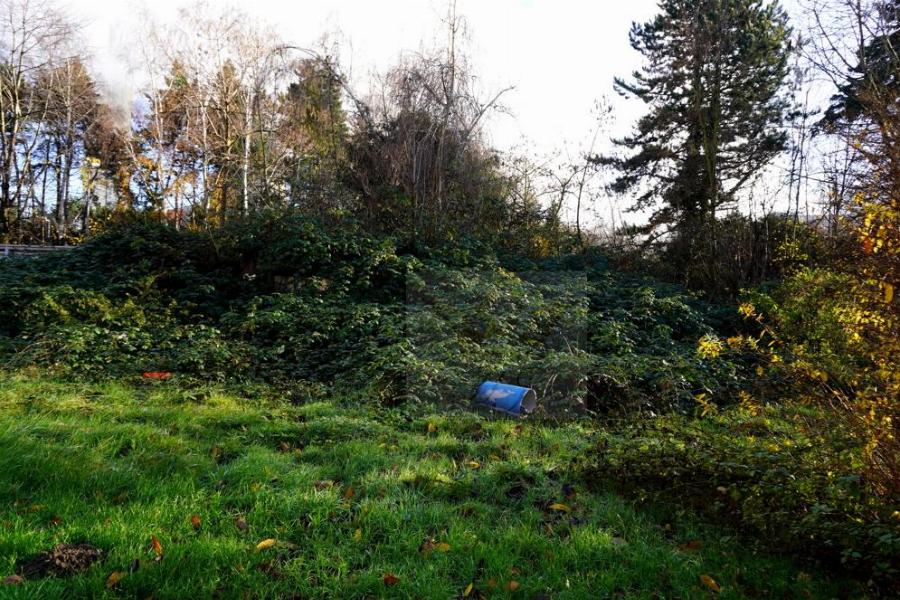 Grünfläche hinter den Häusern Nr_9 und 11