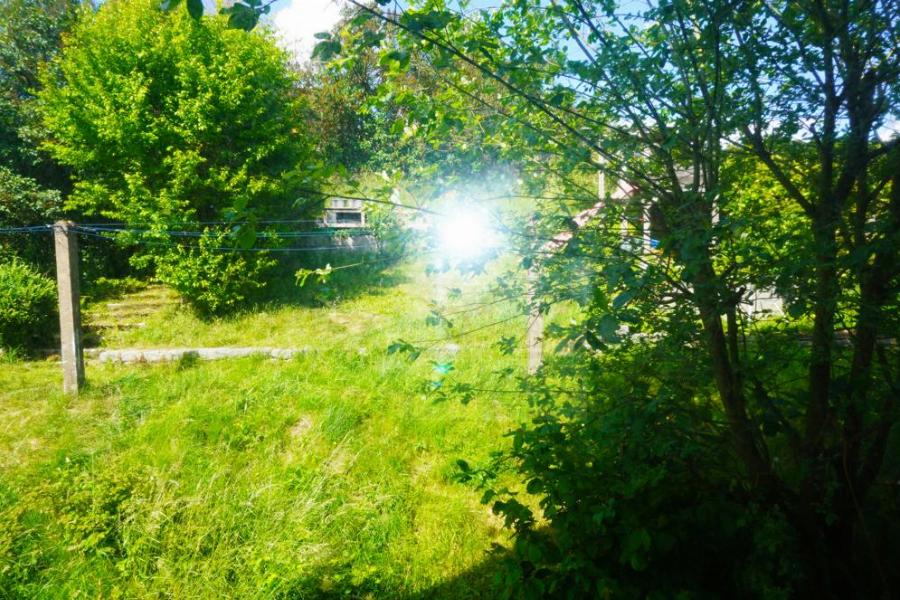 Blick aus der Küche auf hangseitigen Garten im 1.OG